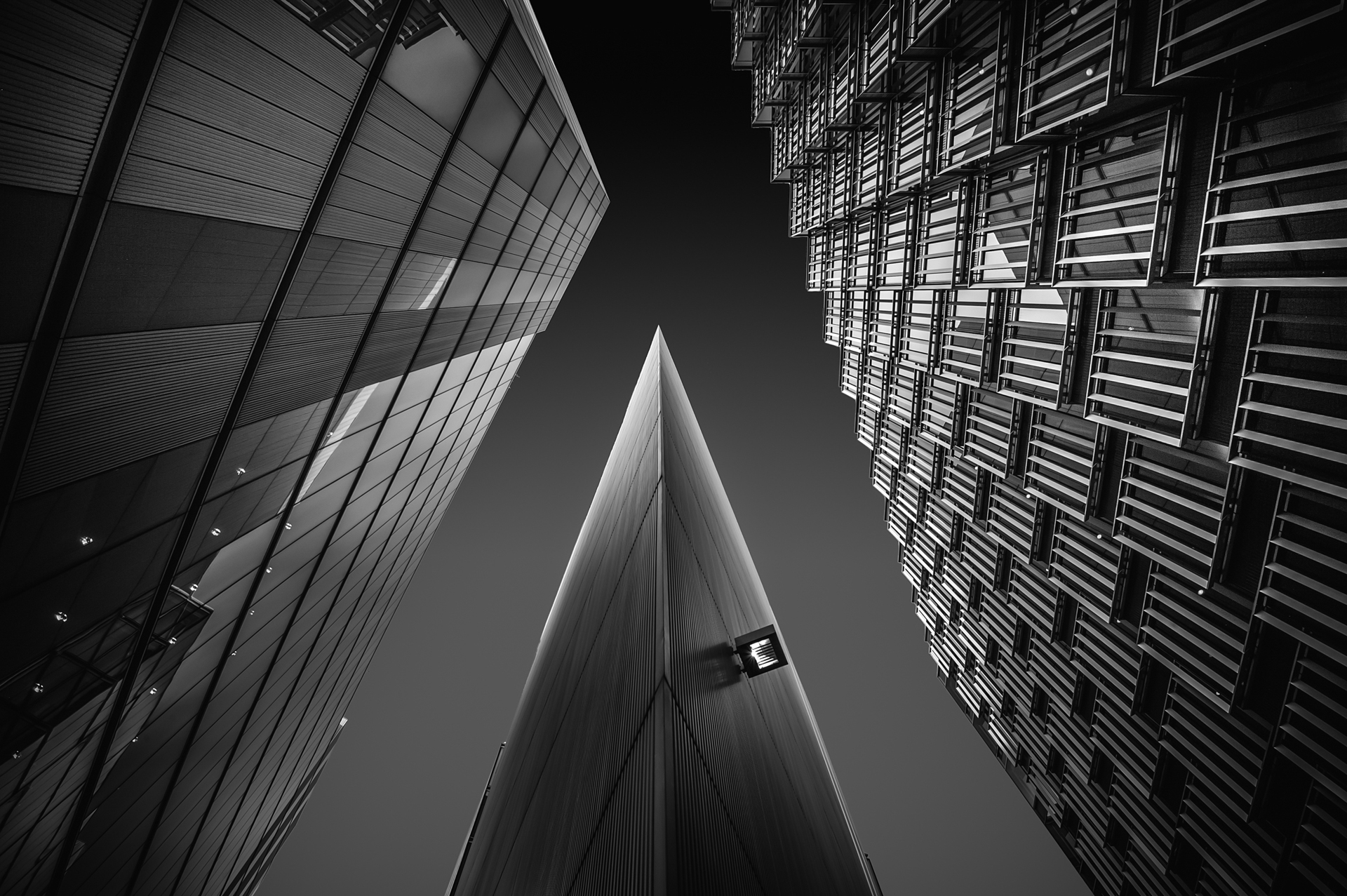 La Pause Photo 7 Jay Vulture Architecture Et Noir Blanc Nikon Le Mag