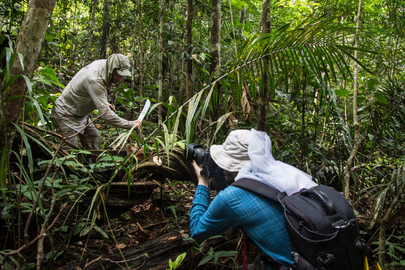 Expédition Adaptation : La Forêt Amazonienne (Brésil) Par Lucas Santucci